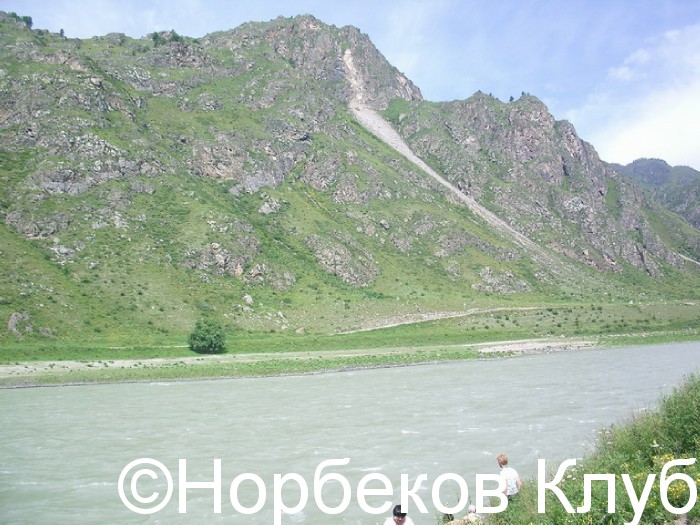037_resize 037_resize